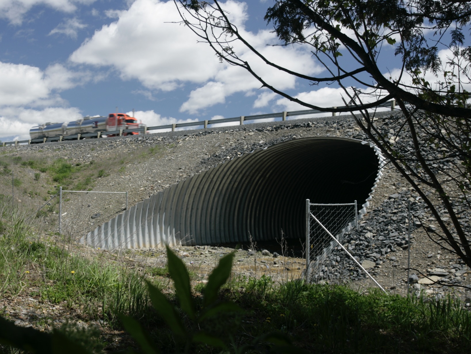Angled view of highway wildlife underpass