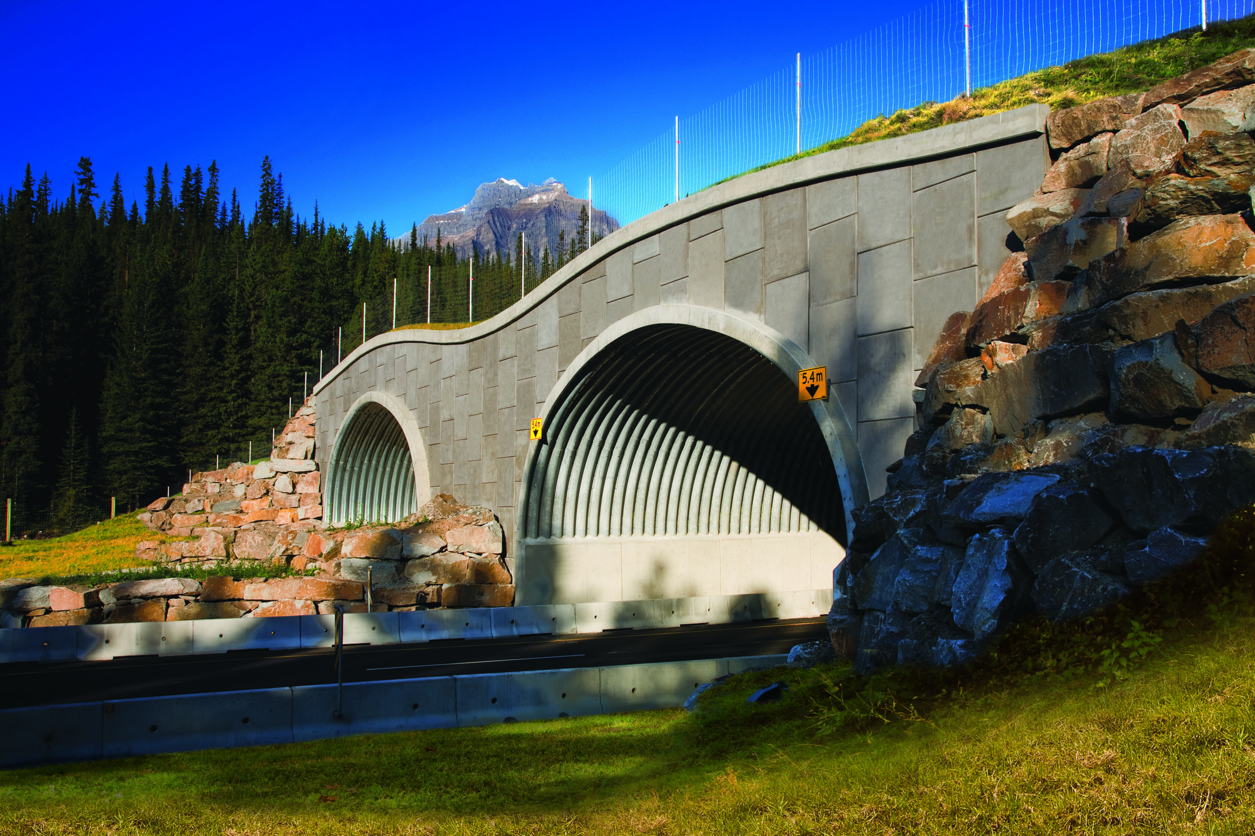 Angled view of highway wildlife overpass