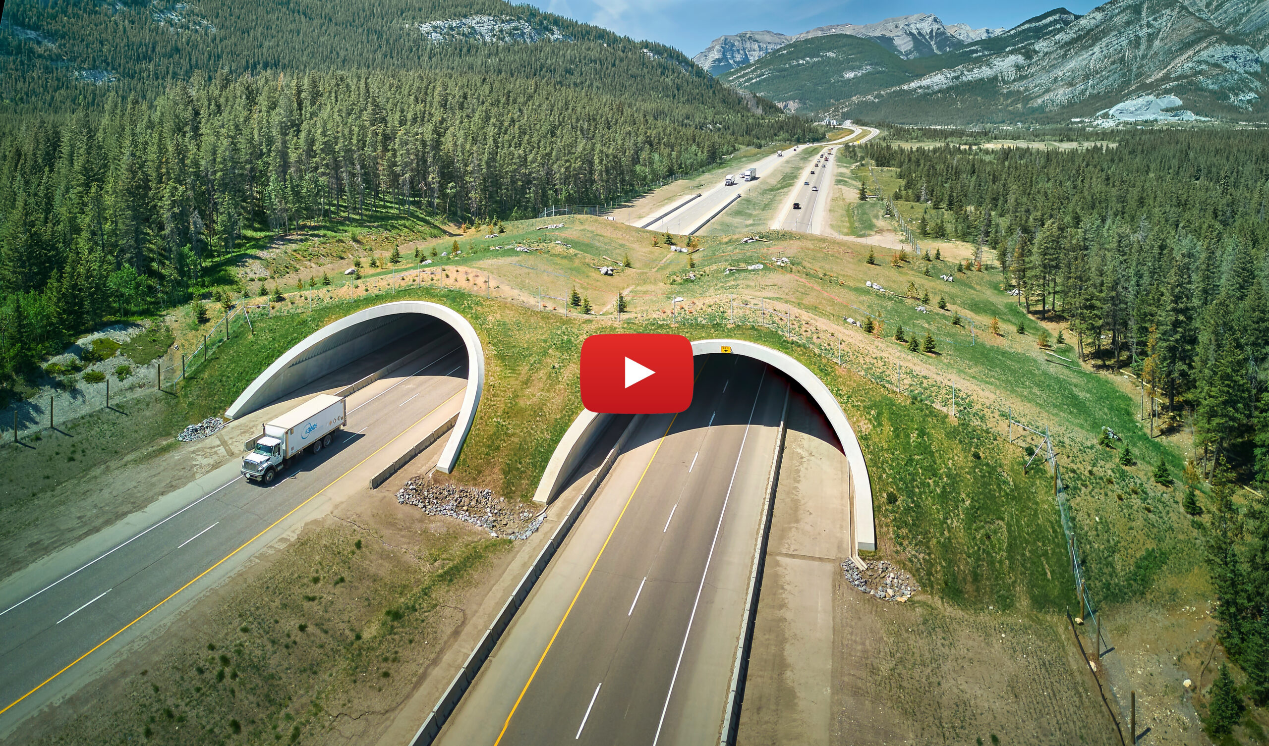Aerial view of highway animal overpass