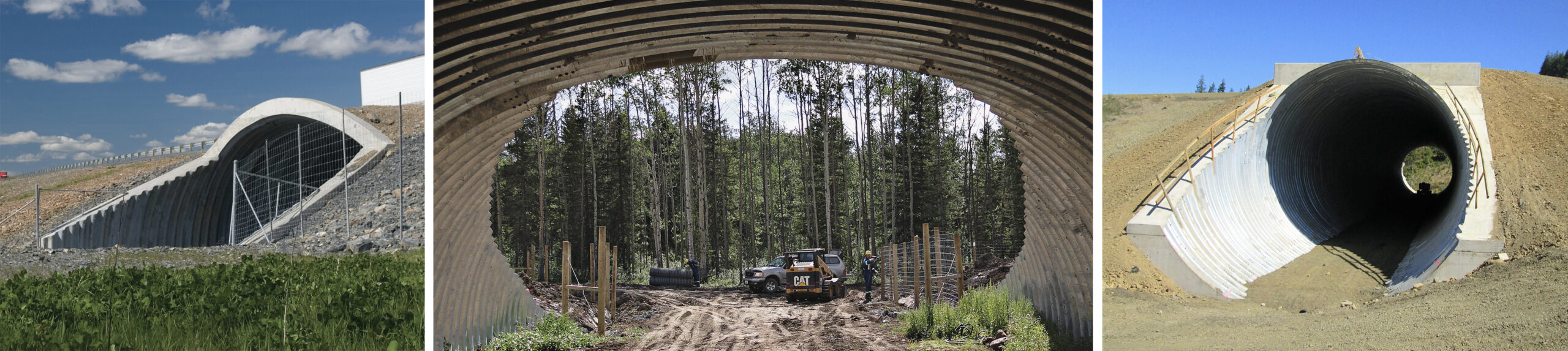 Views of three highway wildlife underpasses