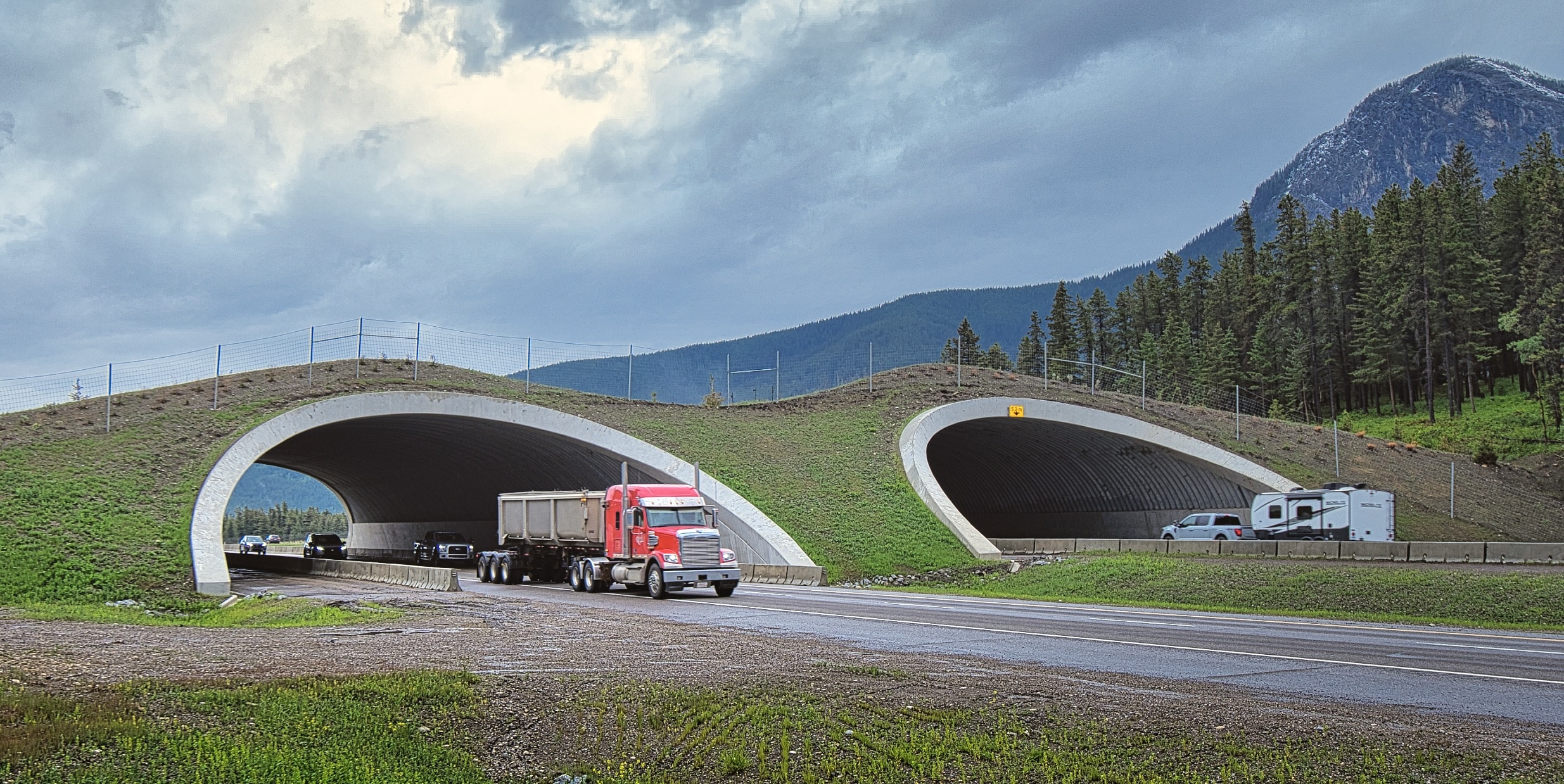 Angled view of highway wildlife overpass